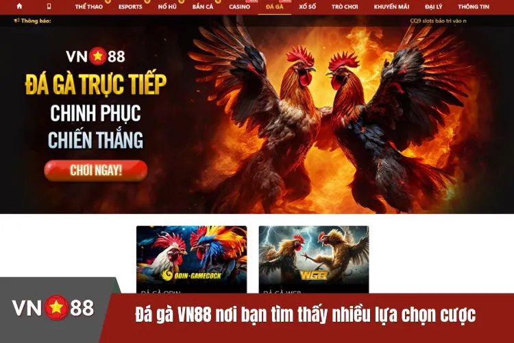 Đá gà VN88 nơi bạn tìm thấy nhiều lựa chọn cược hấp dẫn
